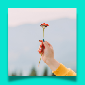 hand holding a flower